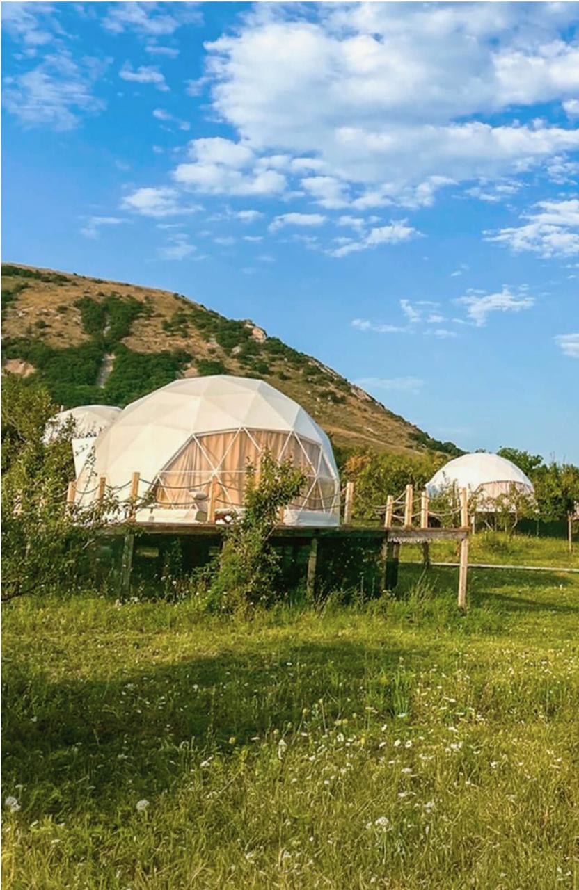 Подарочный сертификат 